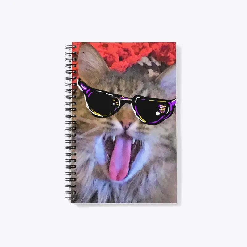 Cool Cat Easy Notes